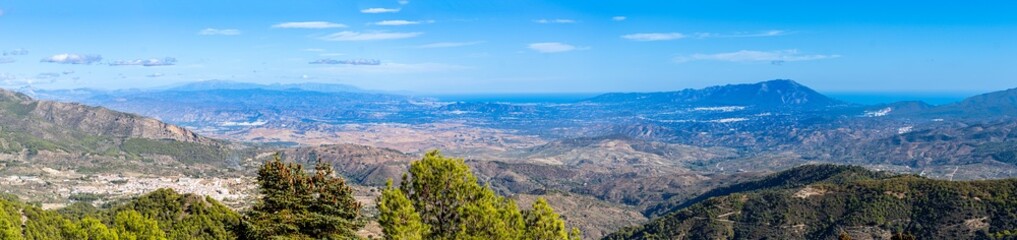 Obraz premium Panoramic view on pine forest on hiking trail to peak Torrecilla, Sierra de las Nieves national park, Andalusia, Spain