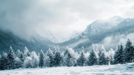 Obraz premium Snow-covered Mountains With Foggy Skies and Frosted Trees in a Serene Winter Landscape