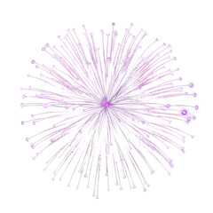 Obraz premium firework texture thin stroke lines. isolated on transparent background.png 