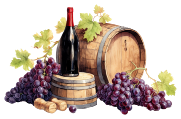 PNG Wine vineyard barrel grape.