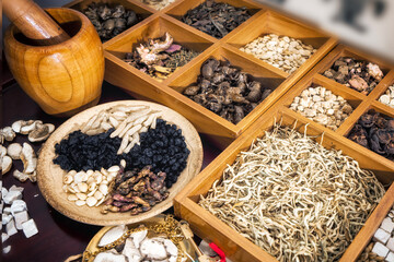 Variety of Natural Herbs and Spices in Wooden Trays and Bowls