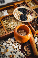 A Colorful Display of Traditional Herbs and Spices for Culinary Exploration