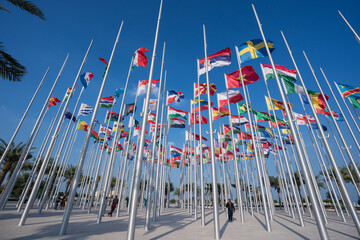 Various flags of the world against the blue sky.