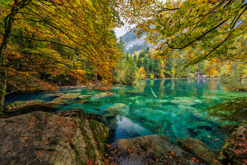 Blausee Switzerland, nature landscape at blue lake in autumn season