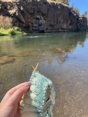 Knitting in nature