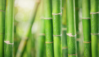 Texture of green bamboo trunks, natural pattern. Perfect for serene and organic background.
