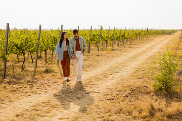 Fototapeta premium A joyful couple laughing together in a sunlit vineyard during a warm afternoon, surrounded by lush grapevines and a rustic path