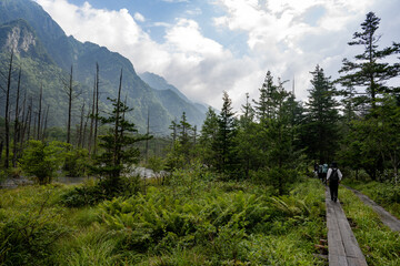 夏の上高地,岳沢湿原/長野県
