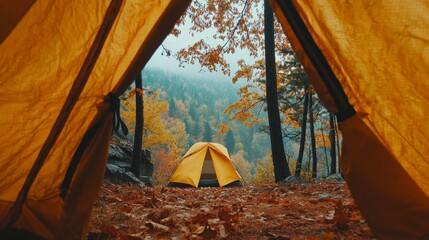 Views of a forest from the yellow tent. Autumn, travel, nature, orange leaves. generative ai