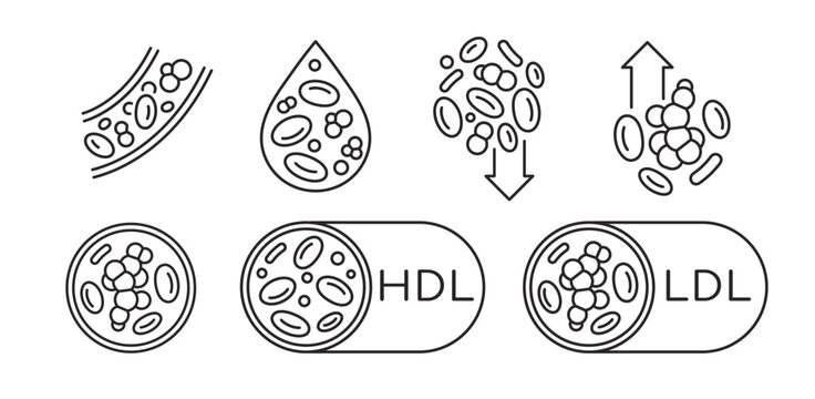 HDL good and LDL bad cholesterol icons set.