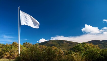 White flag waving in the wind on a pole.