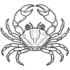 Fototapeta premium vector illustration of red crab