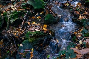 waterfall in the forest