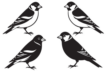 Goldfinch nature silhouette vector .This is editable and printable vector eps file