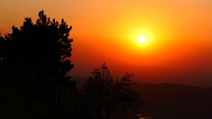 Baumsilhouetten im Sonnenaufgang, orangen Morgenhimmel (5)