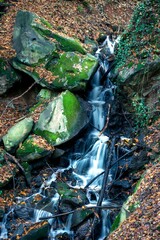 waterfall in the forest