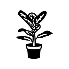 Green Ficus Glyph Icon, Vector illustration