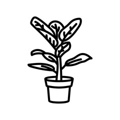 Green Ficus Outline Icon, Vector illustration © vector