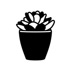 Succulent Plant Glyph Icon, Vector illustration
