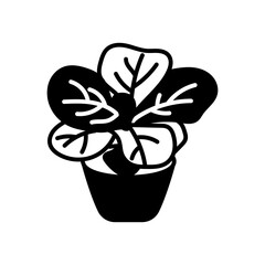 Baby Fiddle Glyph Icon, Vector illustration