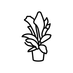 Staghorn Fern Outline Icon, Vector illustration