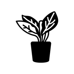 Aglaonema Glyph Icon, Vector illustration