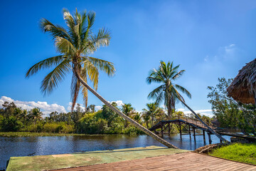 Beautiful view of river and palms in Laguna del Tesoro, Cuba © EdVal