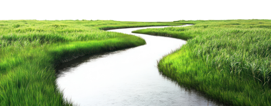 Landscape grass river outdoors.