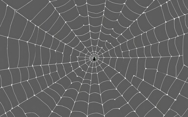 Obraz premium A white spider web on a grey background, perfect for Halloween or spooky designs. 
