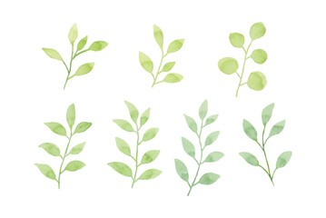 Assortment of watercolor leaves illustration set - green leaf branches collection for wedding, greetings, stationary, wallpapers, fashion, background. olive, green leaves, Eucalyptus etc