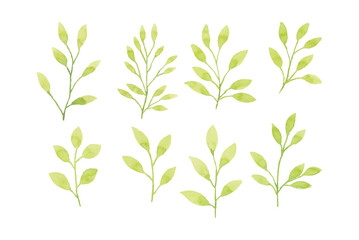 Assortment of watercolor leaves illustration set - green leaf branches collection for wedding, greetings, stationary, wallpapers, fashion, background. olive, green leaves, Eucalyptus etc