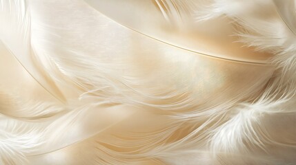 White Bird Feathers Closeup Texture Background