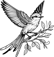 Scarlet Tanager set engraving vector design