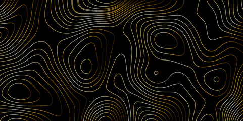 Fototapeta premium Abstract light pattern Vector illustration. Topographic map background concept. Vibrant neon lights pulsating patterns. Colorful topography contour lines isolated on black background. 