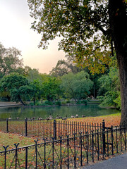 Outdoor Park Scene On Autumn Day In Lafayette Park, St Louis