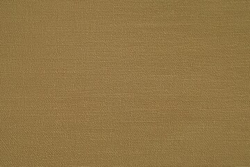 Fototapeta premium Textured cotton chino fabric in a muted olive green color, showcasing a woven pattern.
