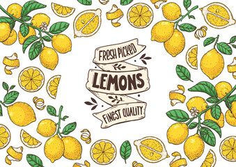 Lemon fruit hand drawn design. illustration. Design, package, brochure illustration. Lemon fruit frame illustration. Design elements for packaging design and other.	