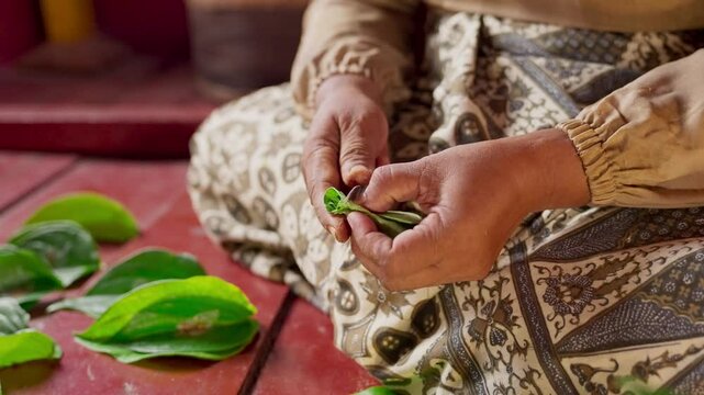 An asian woman prepares ingredients for betel nut chewing also called betel quid chewing or areca nut chewing