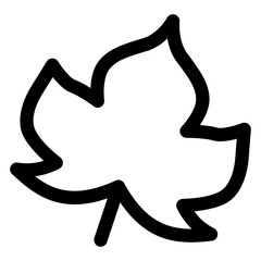 Leaf Outline