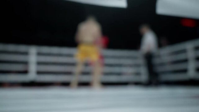 Two muay thai fighters are facing each other in a ring. They are wearing boxing gloves and shorts, and a referee is observing the match