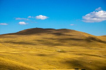 Landscape with alpine pasture on the plateau of the Bucegi mountains - Romania