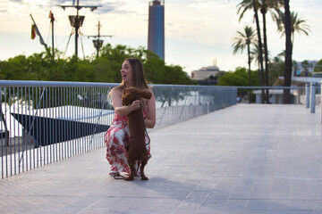 Blonde, young and beautiful Spanish woman goes for a walk with her English cocker spaniel puppy....