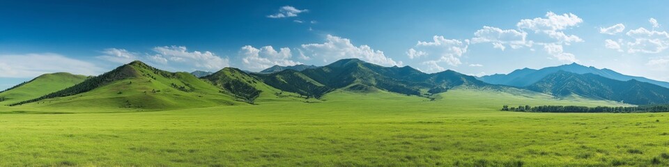 Obraz premium A vast, green field with a clear blue sky. The sky is dotted with clouds, and the field is dotted with trees. Scene is peaceful and serene, with the vast expanse of green grass