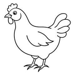 Obraz premium Chicken vector illustration. 