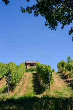 barn in the countryside