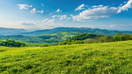 Obraz premium Mountain Landscape with Green Meadow and Blue Sky
