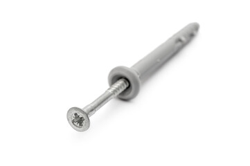 Single screw with dowel on white background. Close up.