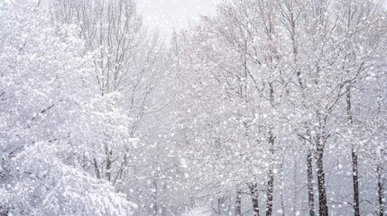 Naklejka premium Serene Winter Landscape with Snow-Covered Trees Providing Negative Space and Falling Snowflakes