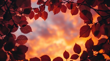 Vibrant Autumn Sunset: Red and Orange Leaves as Negative Space Frame Sky in Stunning Nature Scene