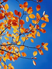 Tranquil Autumn Scene with Colorful Leaves on Tree and Clear Blue Sky Negative Space